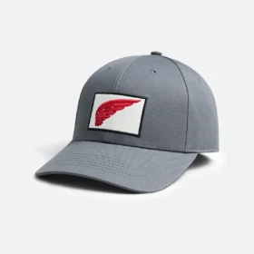 Mütze mit gesticktem Logo Unisex-Mütze mit gesticktem Logo in Grau